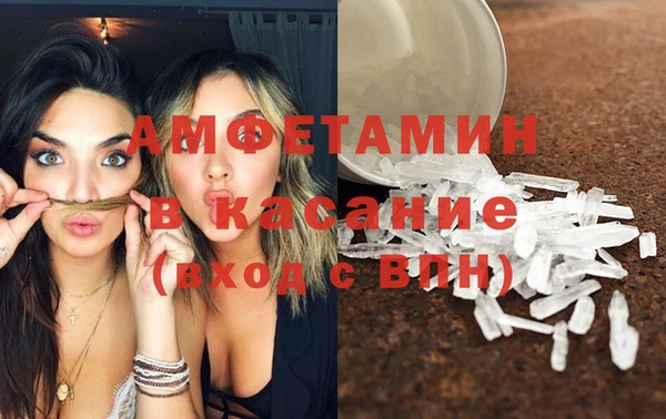 сатива Ельня