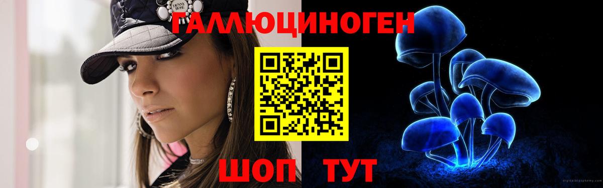 Сланцы  Галлюциногенные грибы Magic Shrooms  Вход с VPN 